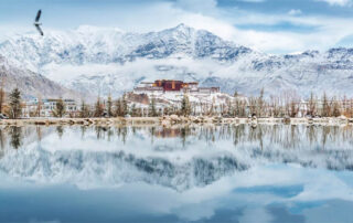 Dive into the heart of Lhasa's unseen beauty with our exclusive guide to the top 5 photogenic locales that promise more than just postcards.