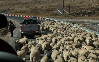 Once you cross into the Tibet side, along the Sino-Nepal highway, the road condition is much better​