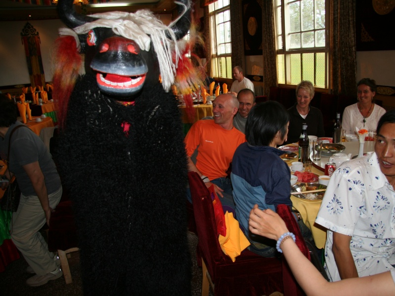 Medication suggestions for AMS - Acute Mountain Sickness in Tibet