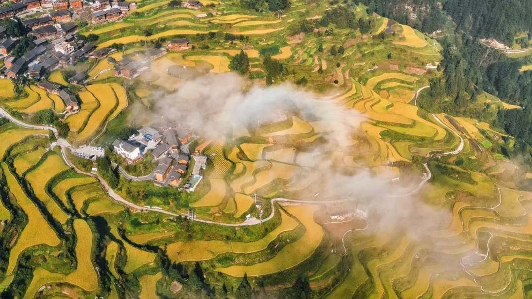 Baiyan Miao and Dong Village Terraced Fields