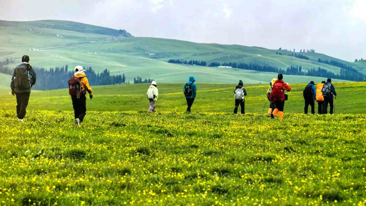 Kalajun Grassland