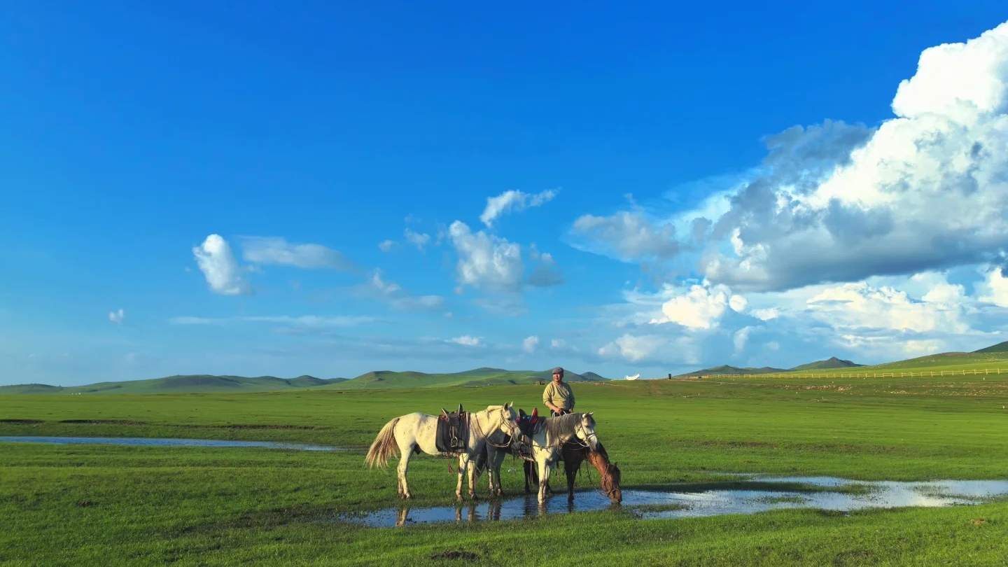 Hulunbuir Grassland