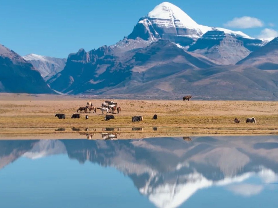 Participating in the Kailash Parikrama during the year of the Horse is a profound spiritual endeavor